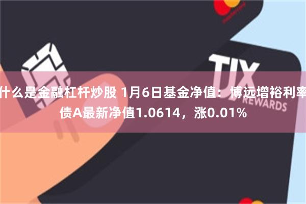 什么是金融杠杆炒股 1月6日基金净值：博远增裕利率债A最新净值1.0614，涨0.01%