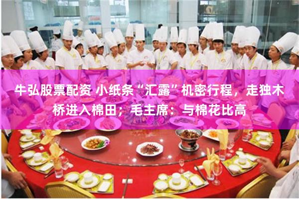 牛弘股票配资 小纸条“汇露”机密行程，走独木桥进入棉田；毛主席：与棉花比高