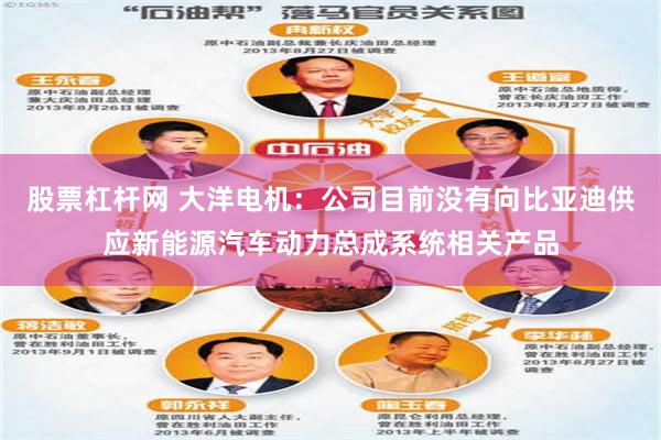 股票杠杆网 大洋电机：公司目前没有向比亚迪供应新能源汽车动力总成系统相关产品