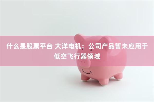 什么是股票平台 大洋电机：公司产品暂未应用于低空飞行器领域