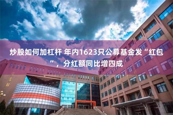 炒股如何加杠杆 年内1623只公募基金发“红包”，分红额同比增四成
