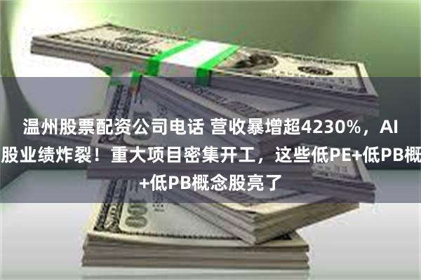 温州股票配资公司电话 营收暴增超4230%，AI芯片第一股业绩炸裂！重大项目密集开工，这些低PE+低PB概念股亮了
