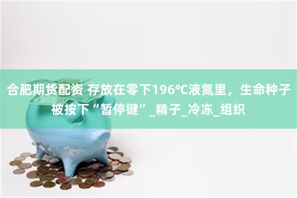 合肥期货配资 存放在零下196℃液氮里，生命种子被按下“暂停键”_精子_冷冻_组织