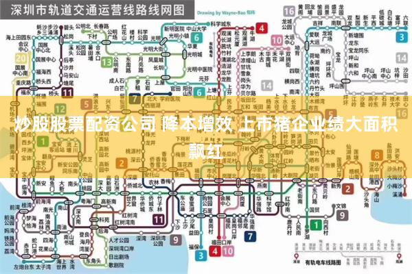 炒股股票配资公司 降本增效 上市猪企业绩大面积飘红