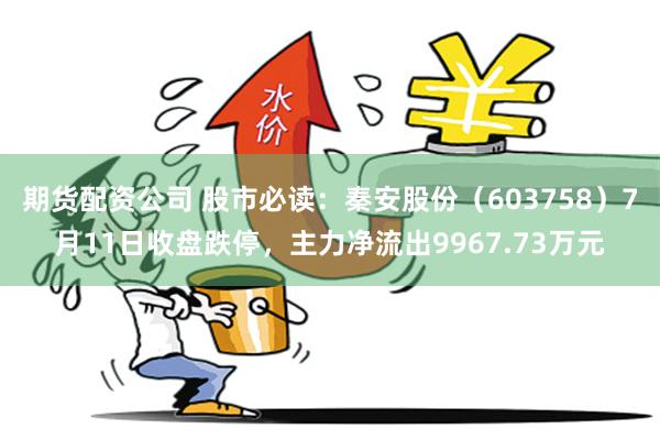 期货配资公司 股市必读：秦安股份（603758）7月11日收盘跌停，主力净流出9967.73万元