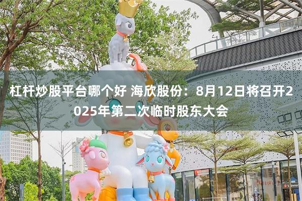 杠杆炒股平台哪个好 海欣股份：8月12日将召开2025年第二次临时股东大会