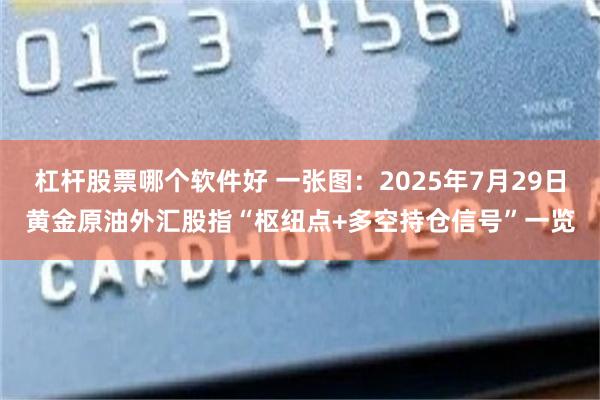 杠杆股票哪个软件好 一张图：2025年7月29日黄金原油外汇股指“枢纽点+多空持仓信号”一览