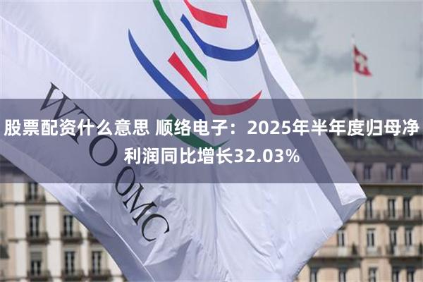 股票配资什么意思 顺络电子：2025年半年度归母净利润同比增长32.03%