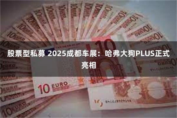 股票型私募 2025成都车展：哈弗大狗PLUS正式亮相