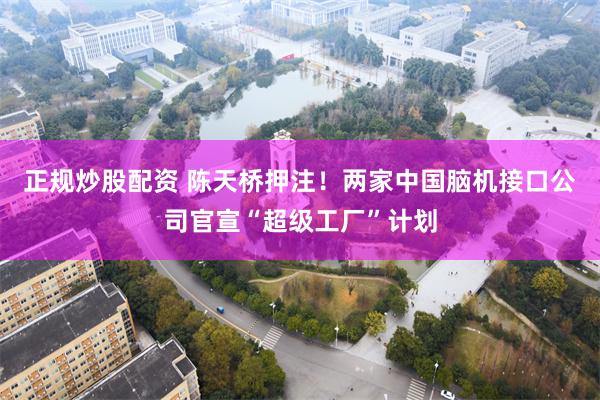 正规炒股配资 陈天桥押注!两家中国脑机接口公司官宣“超级工厂”计划