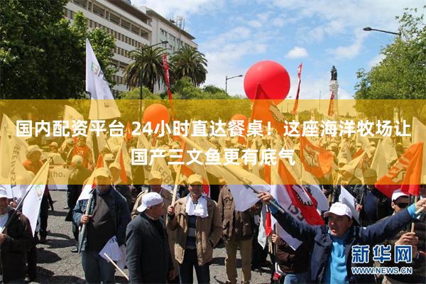 国内配资平台 24小时直达餐桌！这座海洋牧场让国产三文鱼更有底气