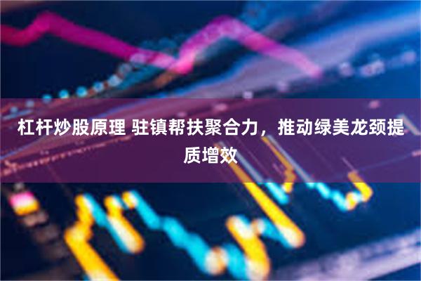 杠杆炒股原理 驻镇帮扶聚合力,推动绿美龙颈提质增效