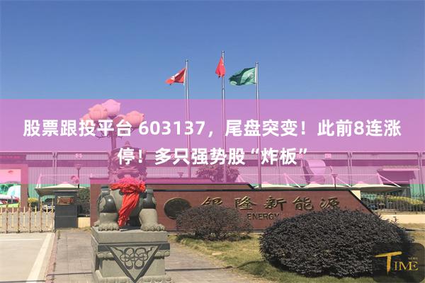 股票跟投平台 603137,尾盘突变!此前8连涨停!多只强势股“炸板”
