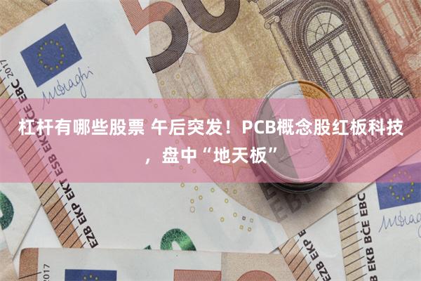 杠杆有哪些股票 午后突发！PCB概念股红板科技，盘中“地天板”