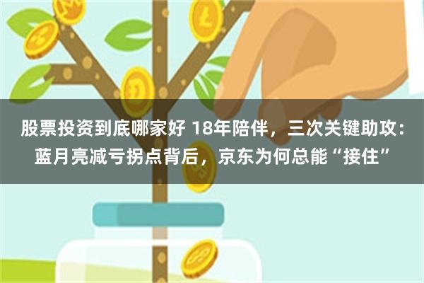 股票投资到底哪家好 18年陪伴,三次关键助攻:蓝月亮减亏拐点背后,京东为何总能“接住”