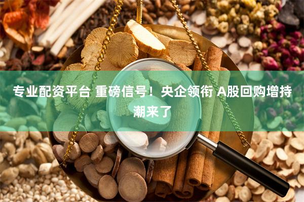 专业配资平台 重磅信号！央企领衔 A股回购增持潮来了