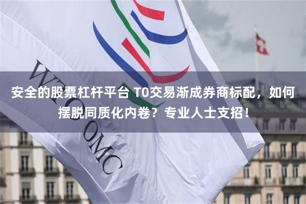 安全的股票杠杆平台 T0交易渐成券商标配，如何摆脱同质化内卷？专业人士支招！