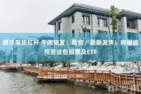 原油期货杠杆 午间突发！险资，最新发声！将继续投资这些股票及ETF