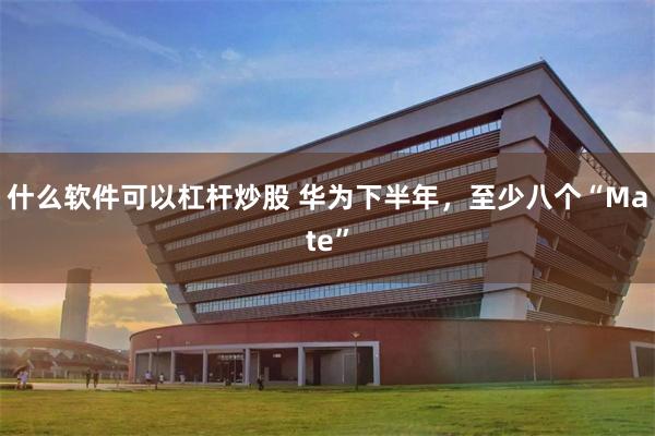 什么软件可以杠杆炒股 华为下半年，至少八个“Mate”