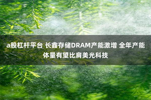 a股杠杆平台 长鑫存储DRAM产能激增 全年产能体量有望比肩美光科技