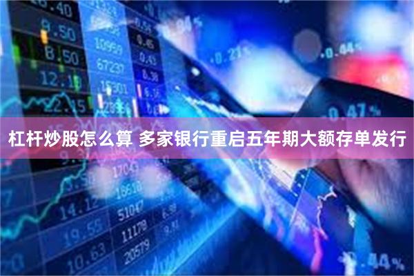 杠杆炒股怎么算 多家银行重启五年期大额存单发行
