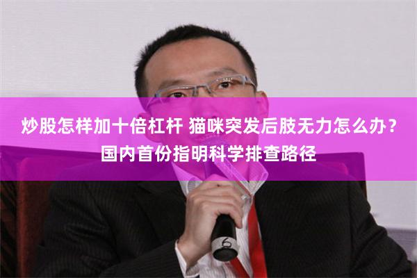 炒股怎样加十倍杠杆 猫咪突发后肢无力怎么办？国内首份指明科学排查路径