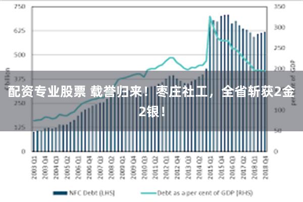 配资专业股票 载誉归来！枣庄社工，全省斩获2金2银！