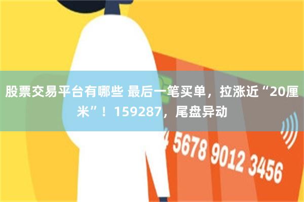 股票交易平台有哪些 最后一笔买单，拉涨近“20厘米”！159287，尾盘异动
