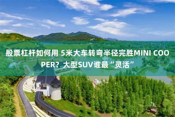 股票杠杆如何用 5米大车转弯半径完胜MINI COOPER？大型SUV谁最“灵活”