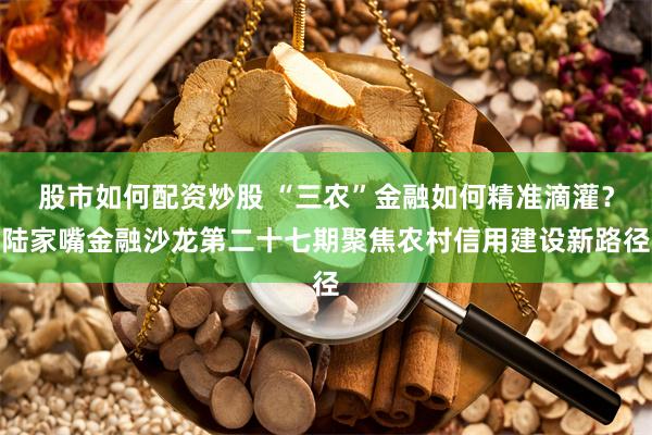 股市如何配资炒股 “三农”金融如何精准滴灌？陆家嘴金融沙龙第二十七期聚焦农村信用建设新路径