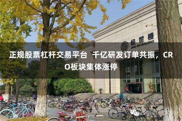 正规股票杠杆交易平台  千亿研发订单共振，CRO板块集体涨停