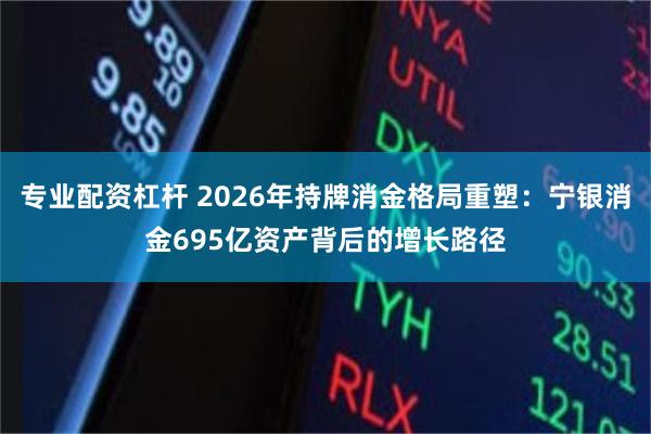 专业配资杠杆 2026年持牌消金格局重塑：宁银消金695亿资产背后的增长路径