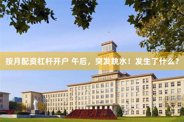 按月配资杠杆开户 午后，突发跳水！发生了什么？