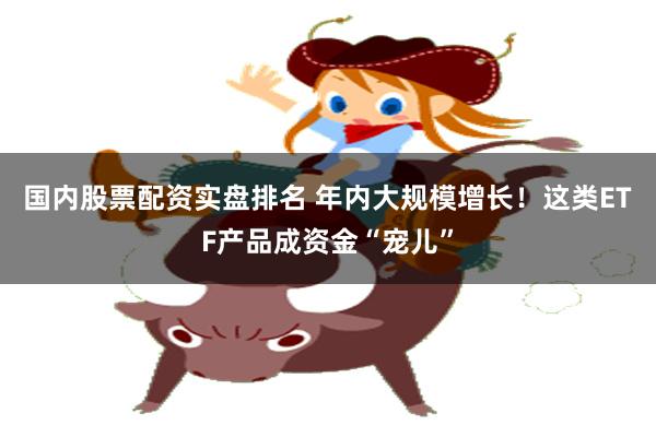 国内股票配资实盘排名 年内大规模增长！这类ETF产品成资金“宠儿”