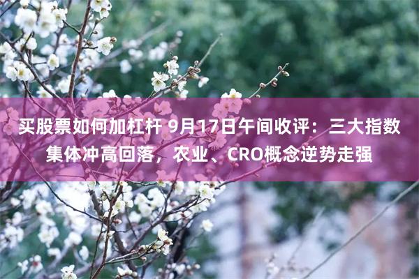 买股票如何加杠杆 9月17日午间收评：三大指数集体冲高回落，农业、CRO概念逆势走强