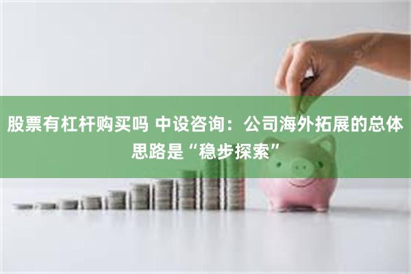 股票有杠杆购买吗 中设咨询：公司海外拓展的总体思路是“稳步探索”
