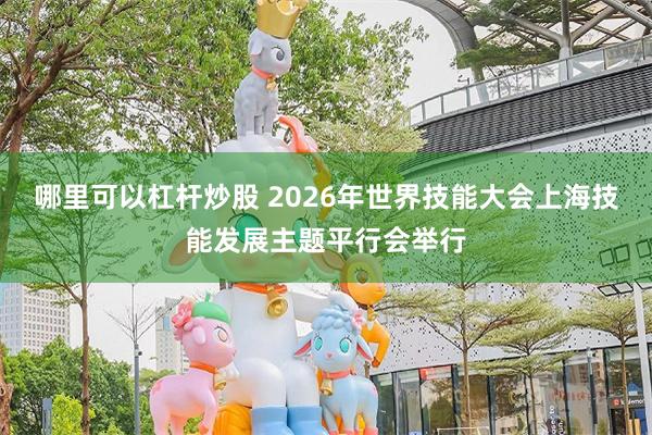哪里可以杠杆炒股 2026年世界技能大会上海技能发展主题平行会举行