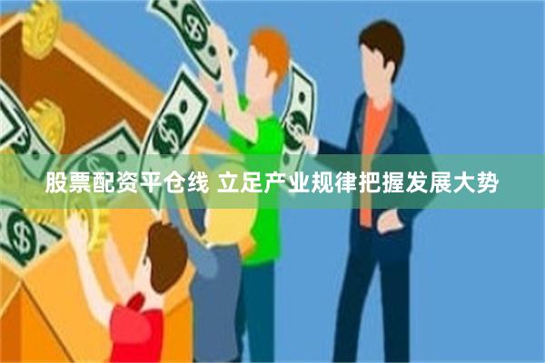 股票配资平仓线 立足产业规律把握发展大势