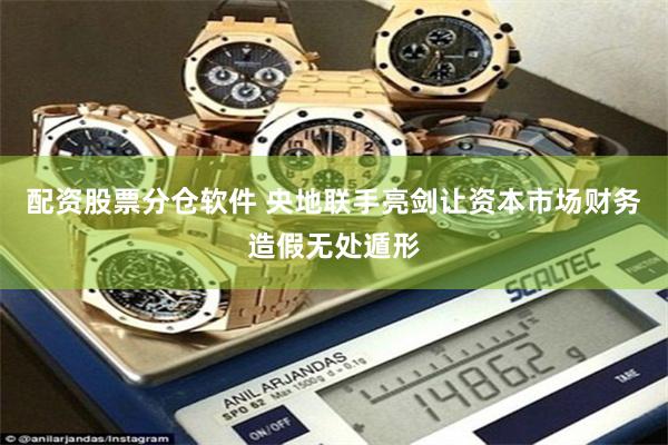 配资股票分仓软件 央地联手亮剑让资本市场财务造假无处遁形