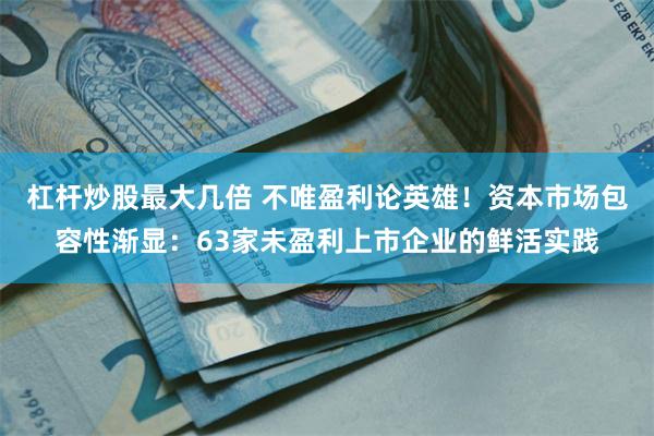 杠杆炒股最大几倍 不唯盈利论英雄！资本市场包容性渐显：63家未盈利上市企业的鲜活实践