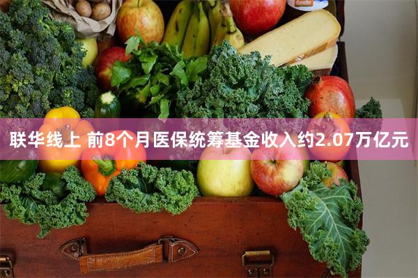 联华线上 前8个月医保统筹基金收入约2.07万亿元